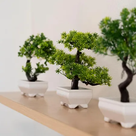 Il Bonsai Apartment Rapallo Exterior photo